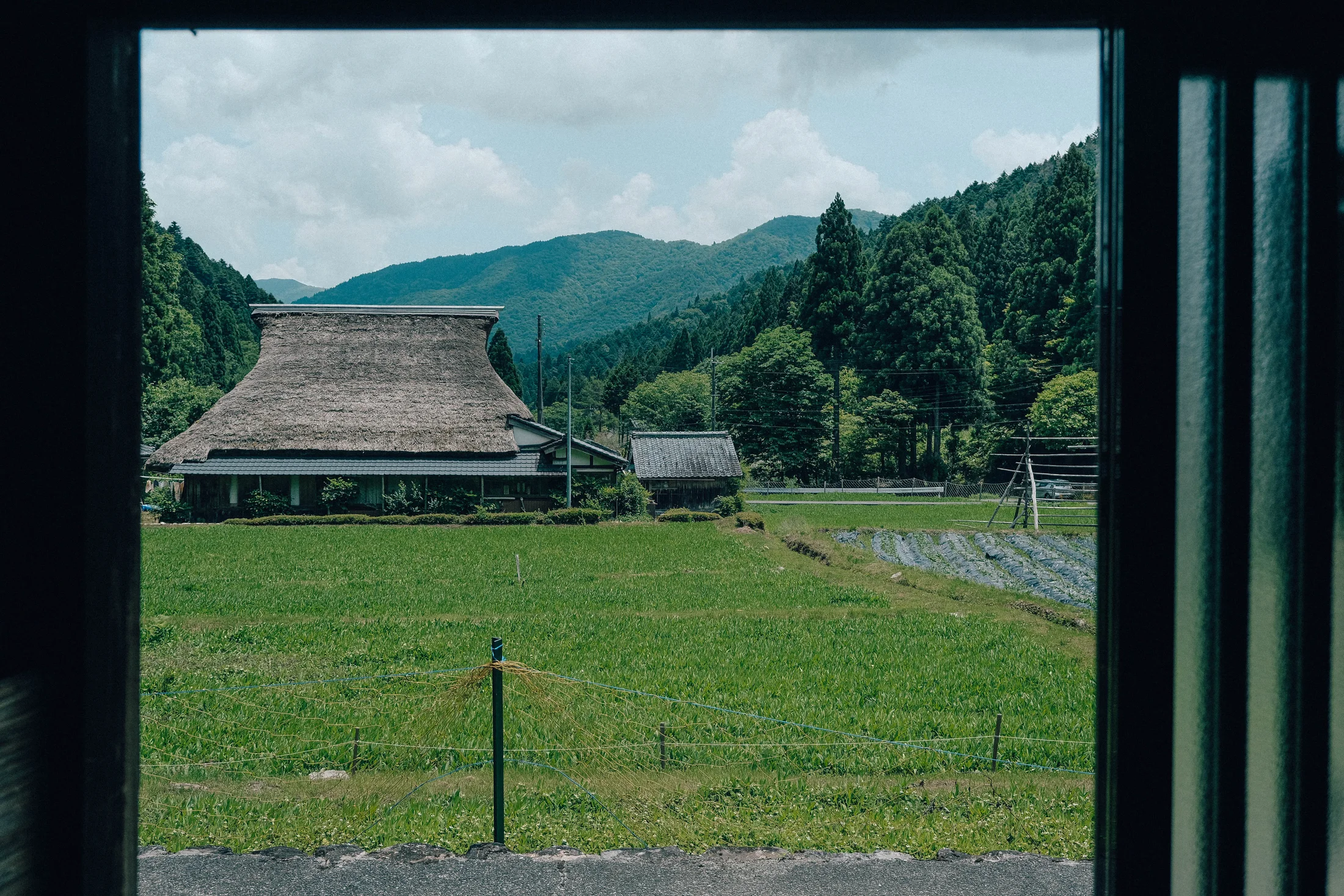 茅葺きの家と田畑